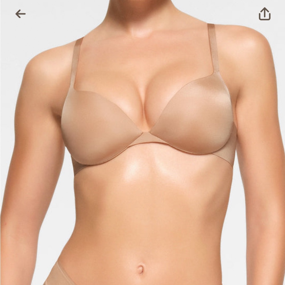 SKIMS NWT ULTIMATE PUSH UP PLUNGE BRA 34DDD